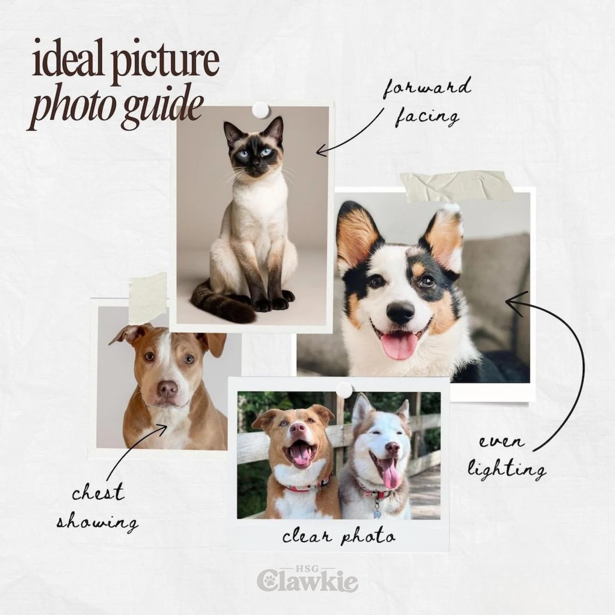 Custom Pet Portraits Canvas & Poster